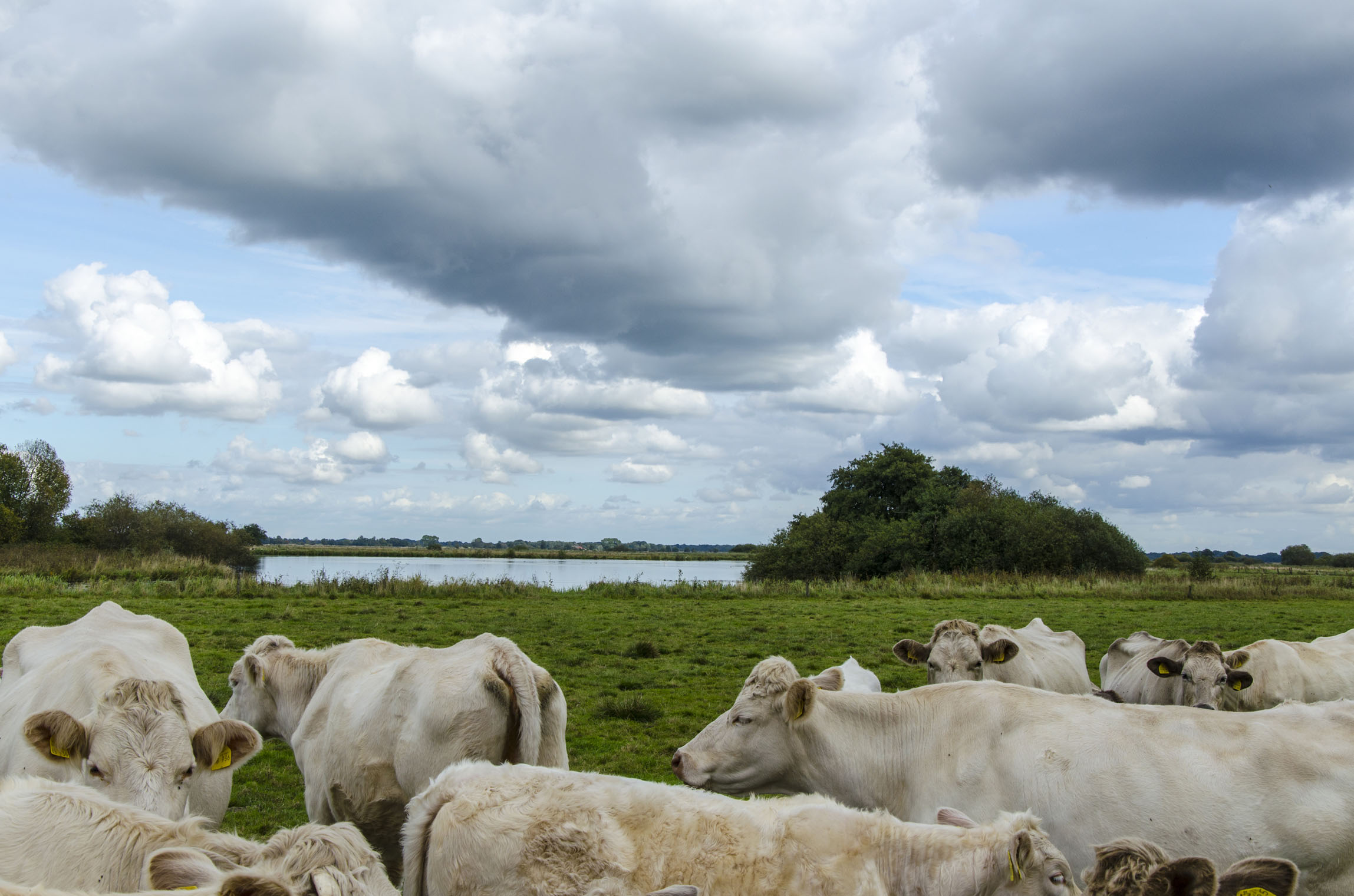 申博sunbet·(中国)官方网站