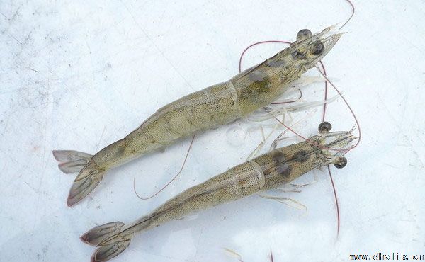 申博sunbet·(中国)官方网站